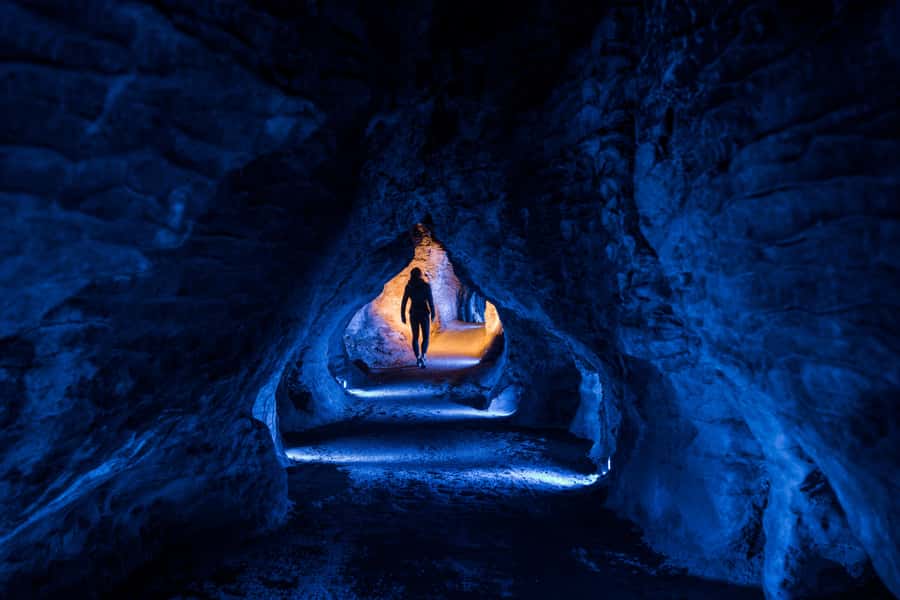 Auckland: Redwood Glowworms, ALTITUDE ZIPLINE & Blue Springs - Should you book the Redwood, Glowworm, and Blue Springs day?