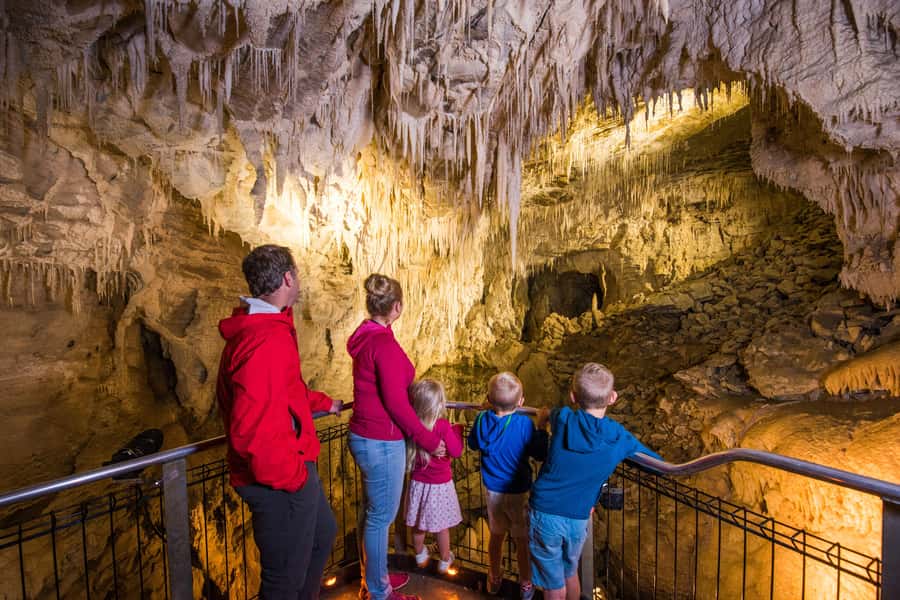 Auckland: Redwood Glowworms, ALTITUDE ZIPLINE & Blue Springs - Setting out from Auckland for Rotorua