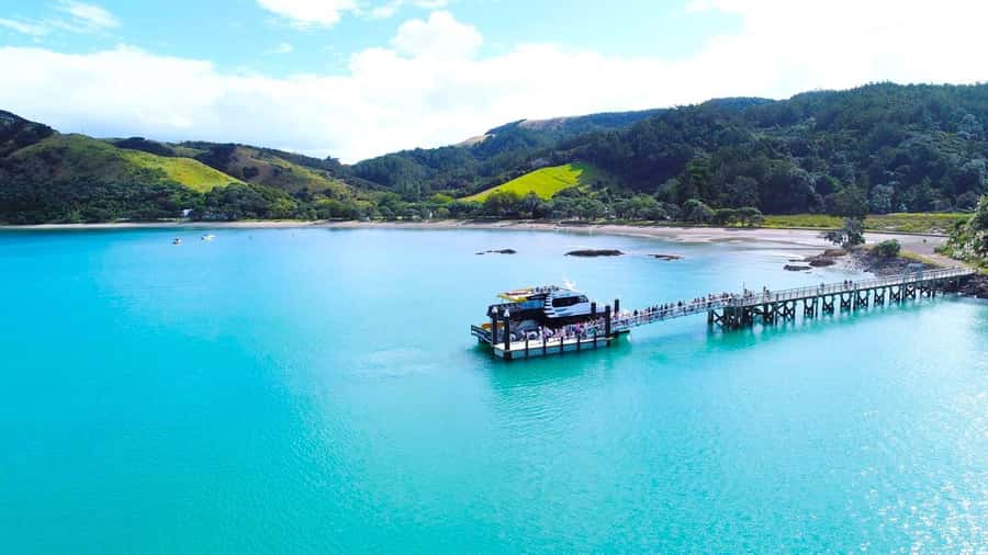 Auckland: Rotoroa Island and Man O'War Vineyard Combo Tour - Who should book this day trip?