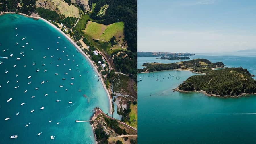 Auckland: Rotoroa Island and Man O'War Vineyard Combo Tour - The Auckland departure and 75-minute Gulf cruise