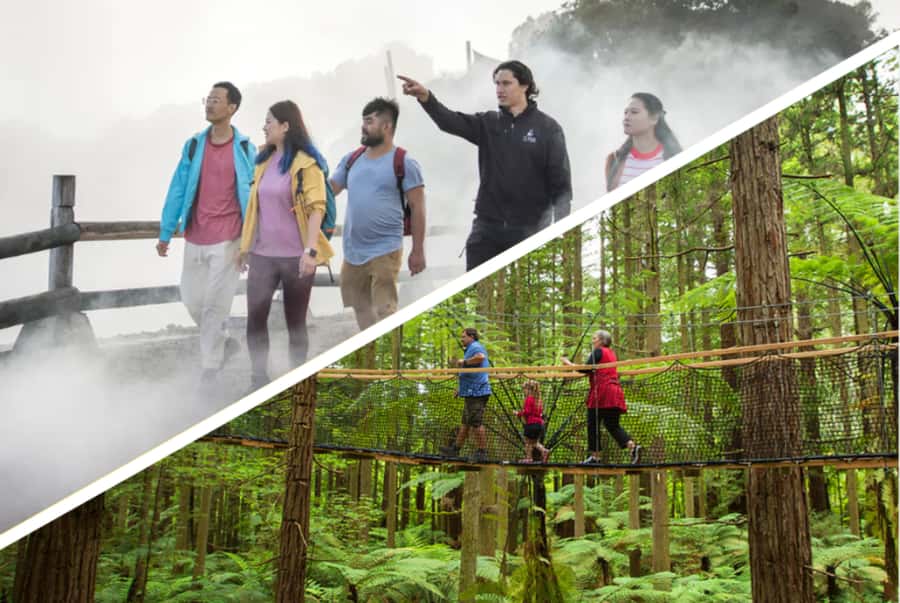 Auckland: Rotorua Highlights inc Te Puia Tour & Redwoods - Tīrau adds a funny roadside pause