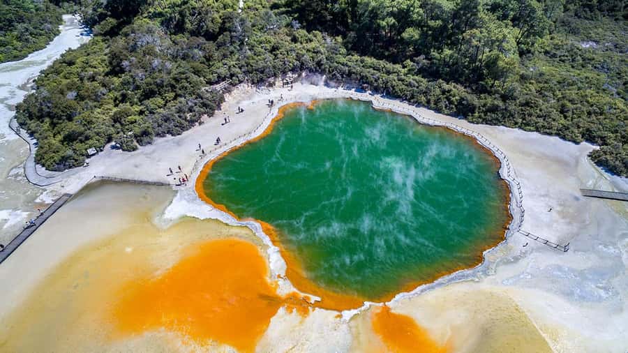 Auckland: Rotorua Highlights inc Wai-O-Tapu & Polynesian Spa - Should you book it?