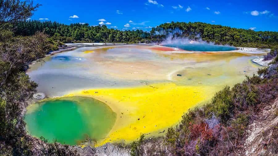 Auckland: Rotorua Highlights Tour with Wai-O-Tapu & Hot Tubs - Key points to know before booking
