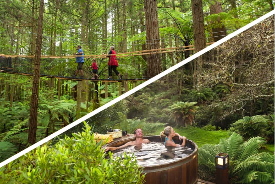 Auckland: Rotorua Highlights w Redwoods Treewalk & Hot Tubs - Leaving Auckland for the Waikato countryside