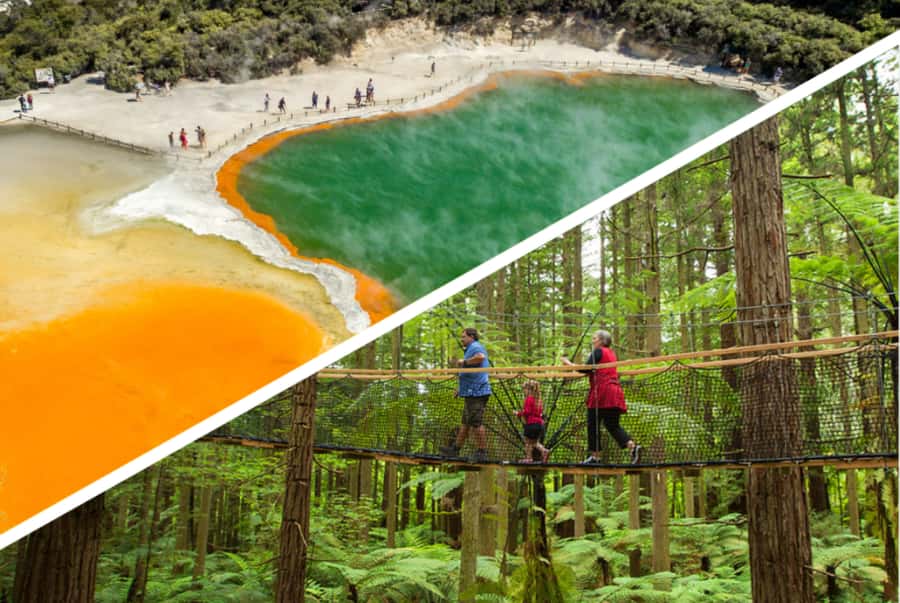 Auckland: Rotorua Highlights w WaiOTapu & Redwoods Treewalk - A guided first look at Rotorua’s city center