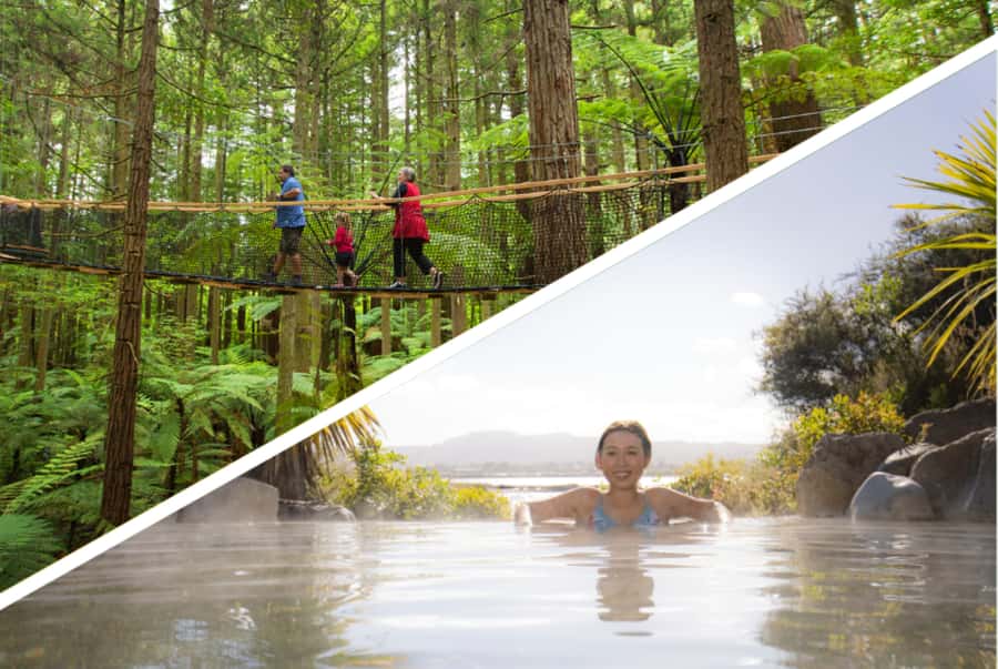 Auckland: Rotorua Highlights with Redwoods Treewalk & Spa - Key points at a glance