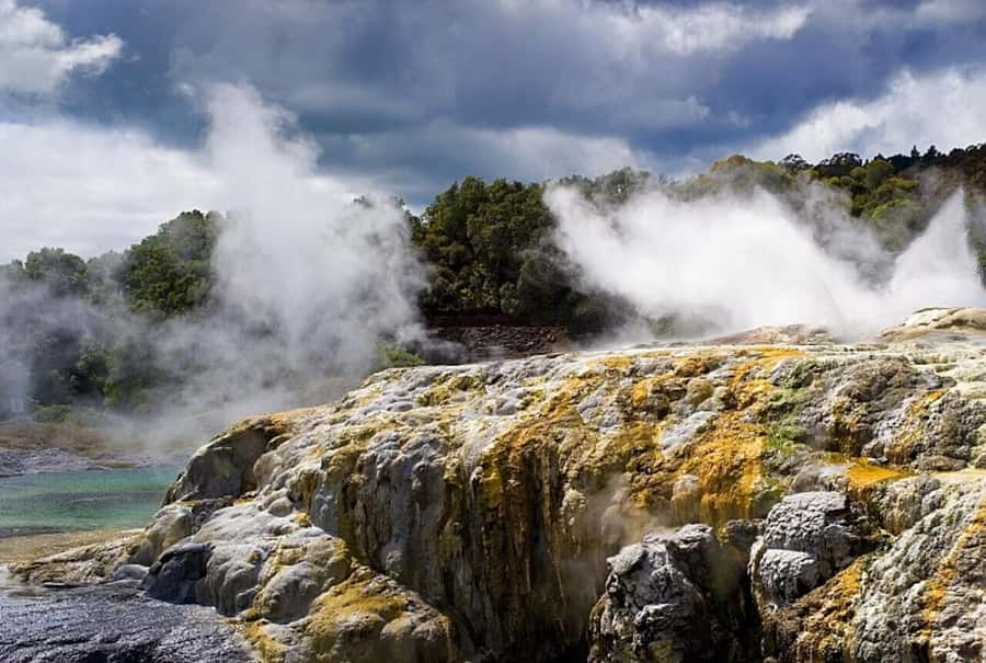 Auckland: Rotorua Living Maori Village Tour w/ Haka & Lunch - From Auckland to Rotorua in one long day