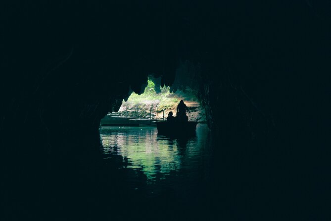 Auckland: Rotorua Māori Village, Waitomo Caves & Lunch - The road to Waitomo and the glowworm caves