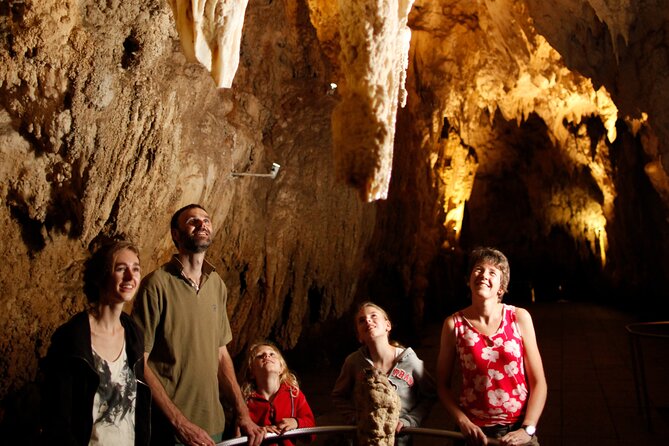 Auckland: Rotorua Māori Village, Waitomo Caves & Lunch - Returning to Auckland after a 12-hour day
