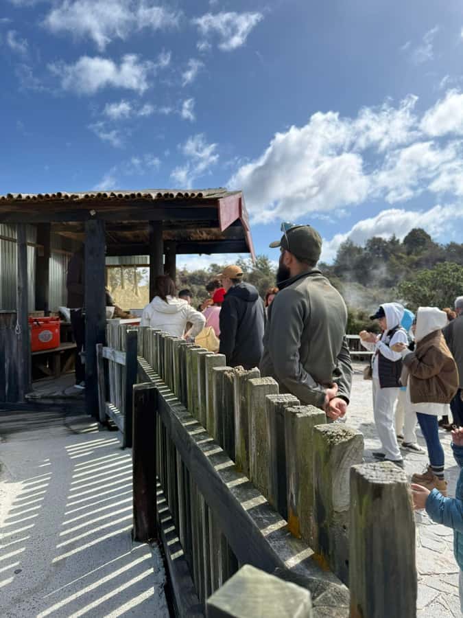 Auckland: Rotorua Māori Village & Waitomo Caves with Lunch - Beneath Waitomo’s glowworm ceiling