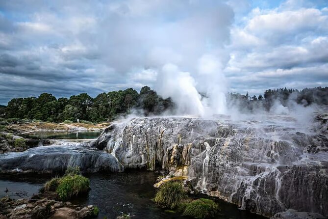 Auckland: Rotorua Te Puia & Maori Village Tour with Haka - Key points to know before booking
