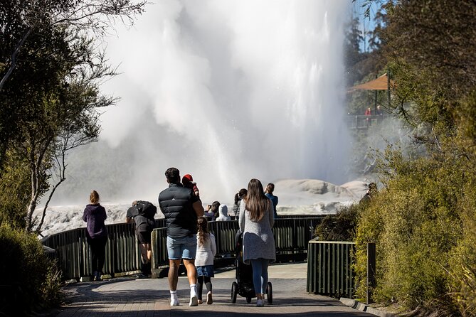 Auckland: Rotorua Te Puia with Haka & Polynesian Spa Small Group - Key points at a glance