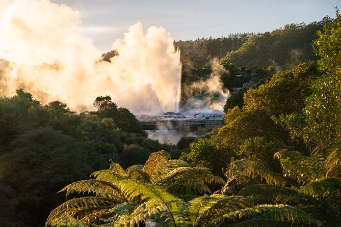 Auckland: Rotorua Te Puia with Haka & Polynesian Spa Small Group - Two hours at Polynesian Spa’s Deluxe Lake Spa