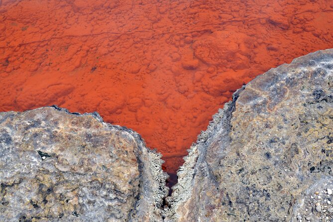 Auckland: Rotorua Tour with Waiotapu, Te Puia and Maori Haka - What the Guides Add to the Day