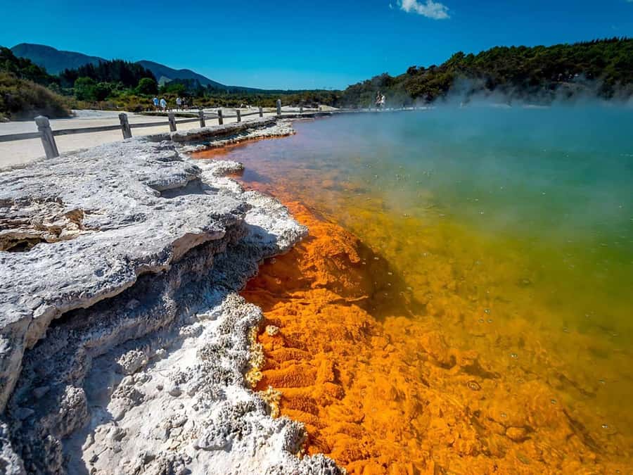 Auckland: Rotorua Wai-O-Tapu, Te Puia with Haka - Wai-O-Tapu and its strange colors