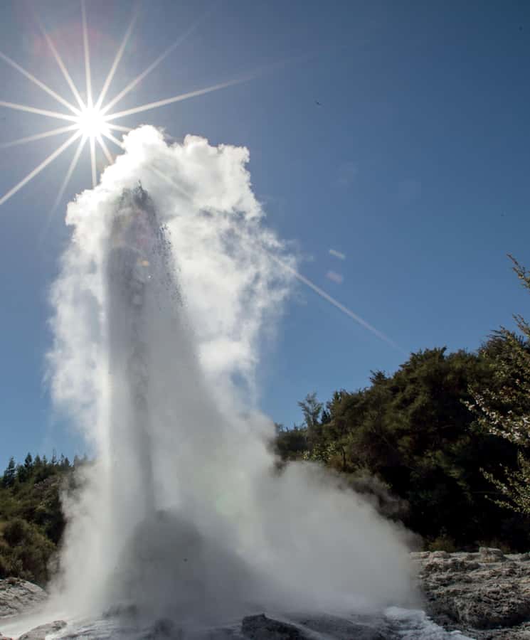 Auckland: Rotorua Wai-O-Tapu, Te Puia with Haka - Te Puia and the power of Pōhutu Geyser