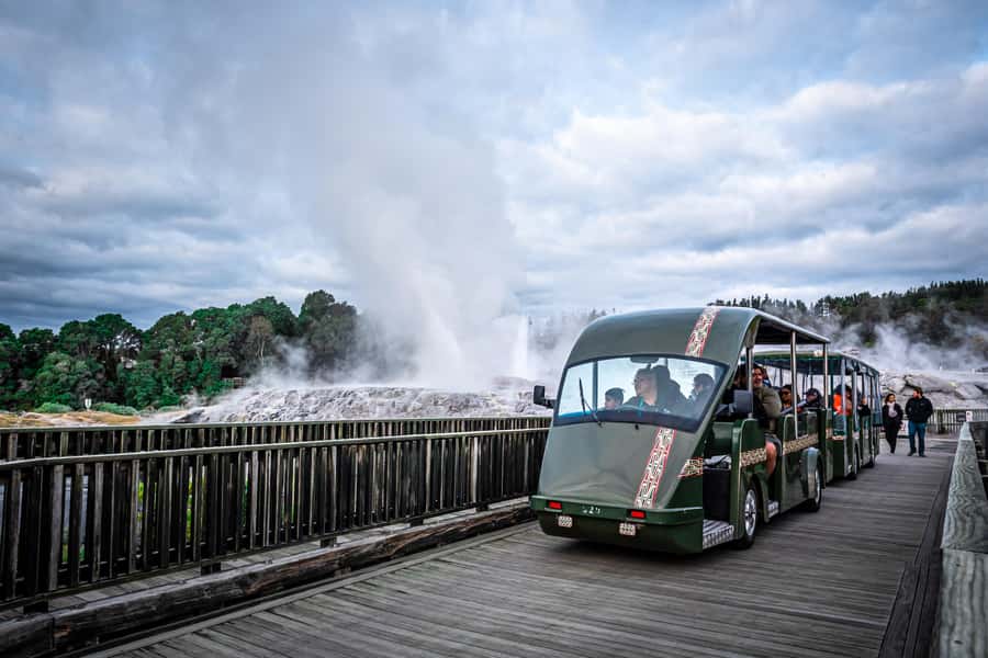 Auckland: Rotorua Wai-O-Tapu, Te Puia with Haka - Who should book this Rotorua day trip?