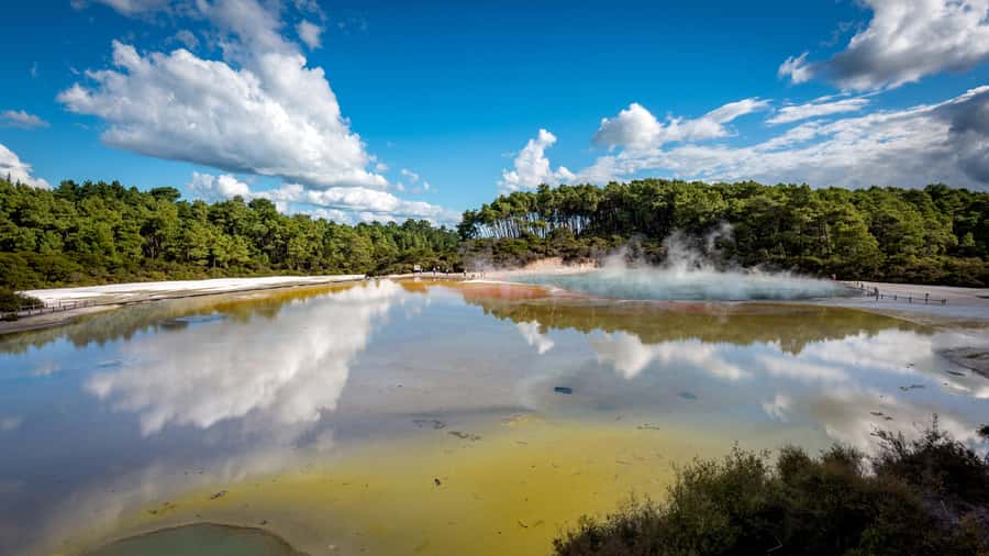 Auckland: Rotorua Wai-O-Tapu, Te Puia with Haka - Lady Knox Geyser: a short, dramatic opening