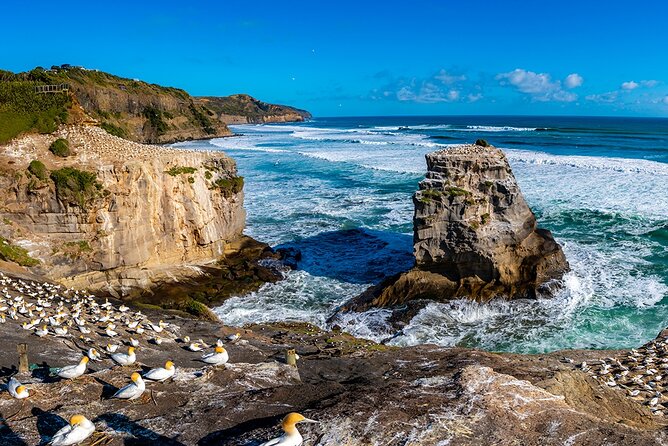Auckland's Wild West Coast & Black Sand Beaches Tour inc Lunch - Why this half-day tour works well