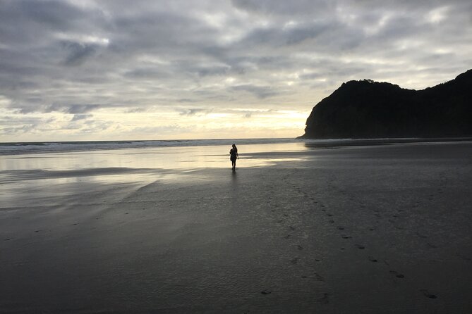 Auckland's Wild West Coast & Black Sand Beaches Tour inc Lunch - Devonport and North Head change the mood