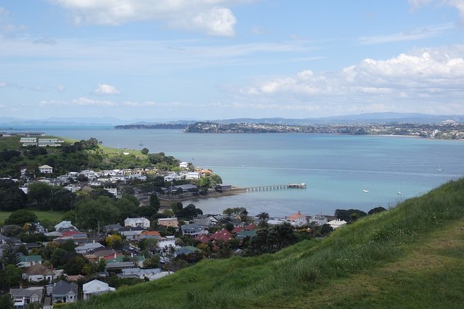 Auckland Scenic Day Tour Full-Day- 8 HOURS - One Tree Hill and Mount Eden’s volcanic views