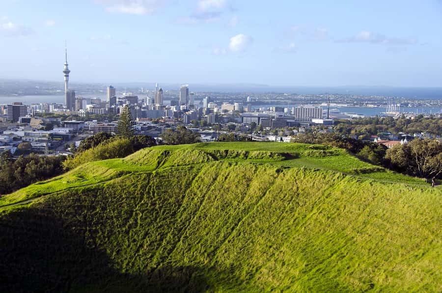 Auckland Scenic Half-Day City Sightseeing Tour - Key points to know before booking