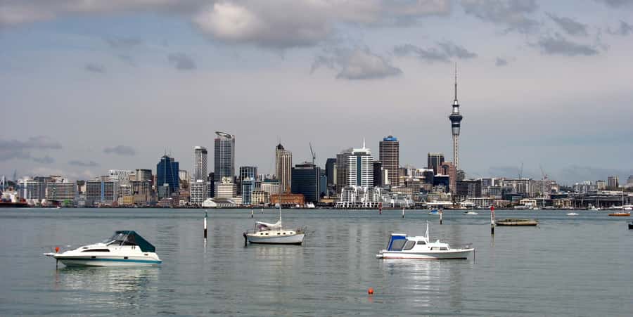 Auckland Scenic Half-Day City Sightseeing Tour - Why this four-hour Auckland tour works