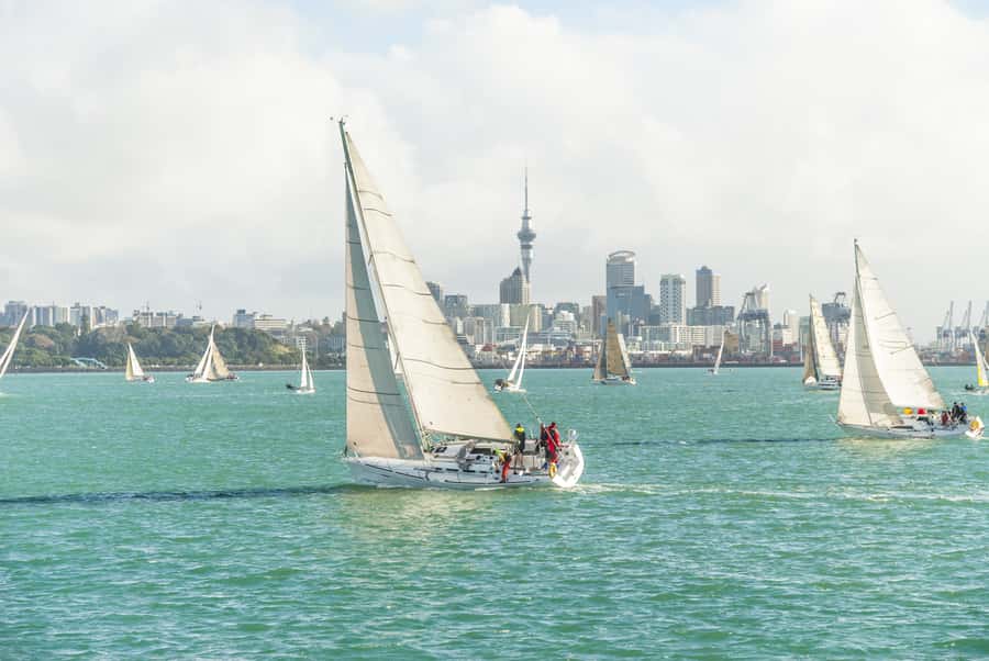Auckland Scenic Half-Day City Sightseeing Tour - Westhaven Marina and the waterfront’s working side