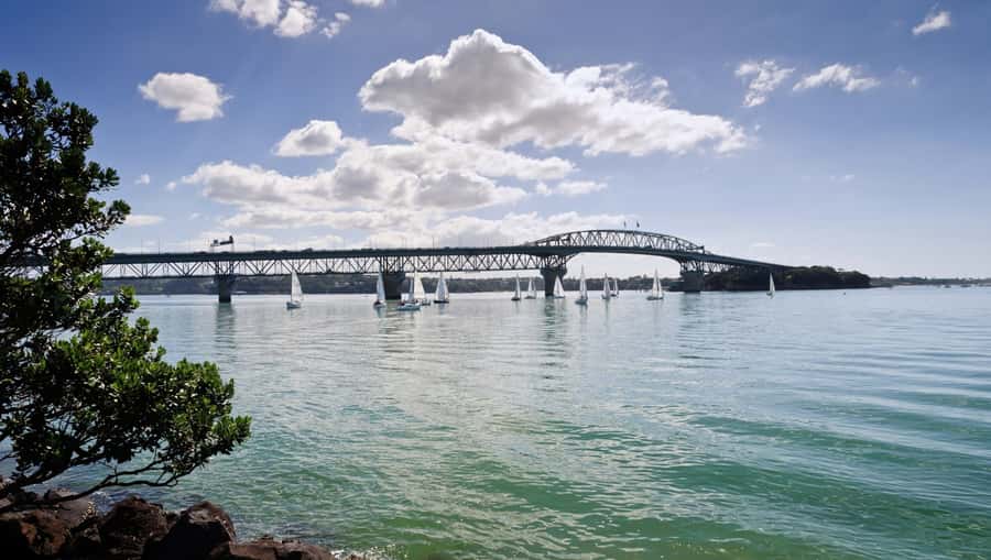 Auckland Scenic Half-Day City Sightseeing Tour - Ponsonby, K Road, and Auckland’s everyday character