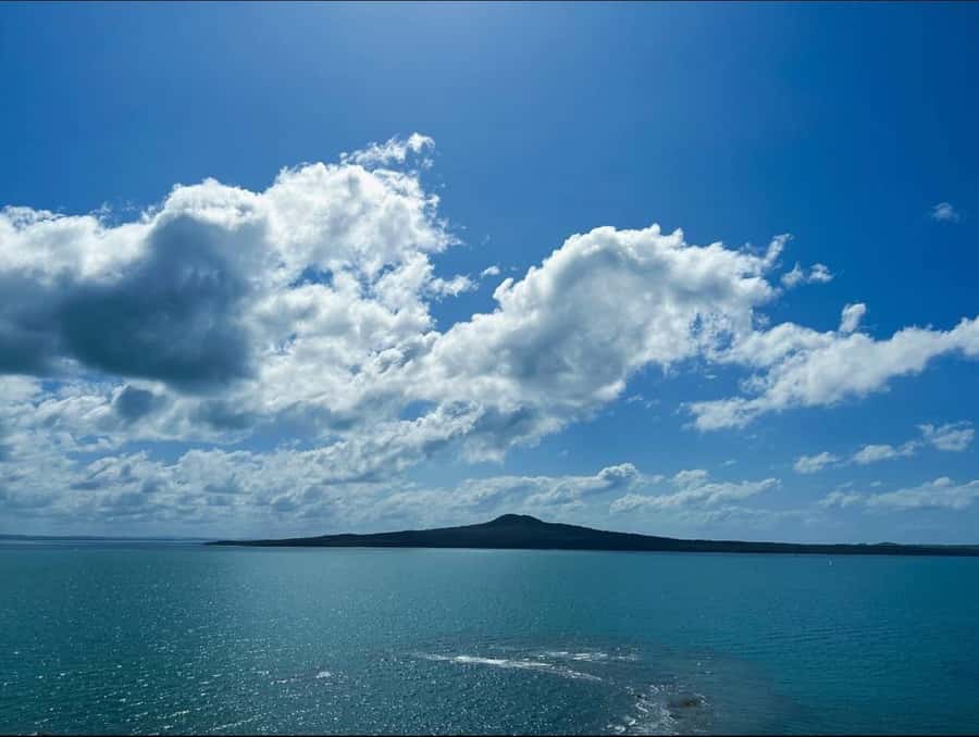 Auckland: Scenic Harbour Cruise with Live Commentary - Timing matters more than the brochure suggests