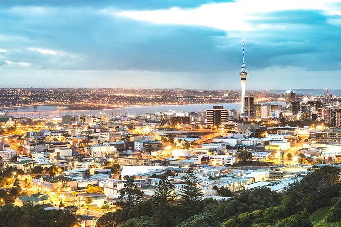 Auckland Scenic Tour : Must-See Sights in Half Day - Michael Joseph Savage Memorial Park and its civic story