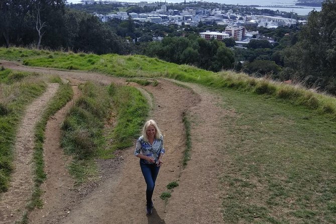 Auckland Scenic Tour : Must-See Sights in Half Day - Small-group travel, guides, and the vehicle