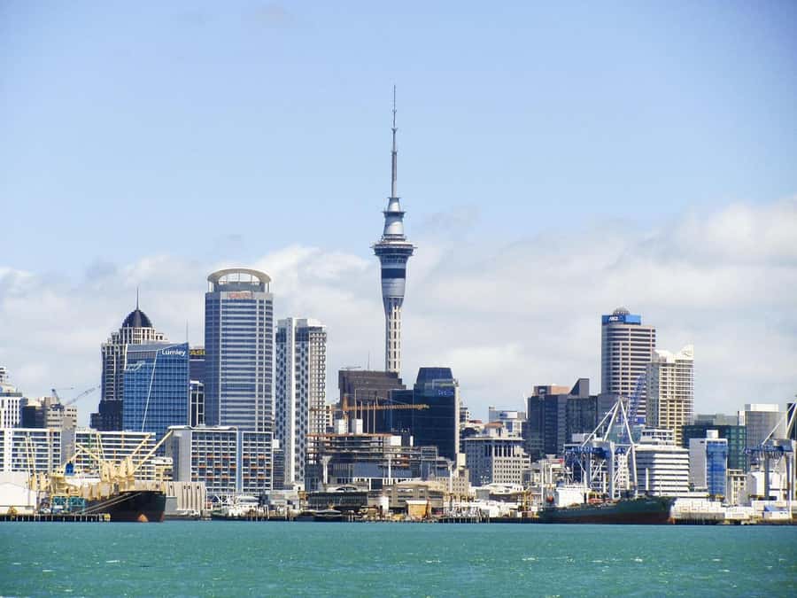 Auckland: Scenic Wine and Cheese Harbour Cruise - Cheese, charcuterie, and a New Zealand drink