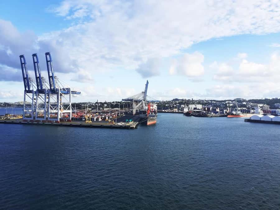 Auckland: Scenic Wine and Cheese Harbour Cruise - Is $33 good value?