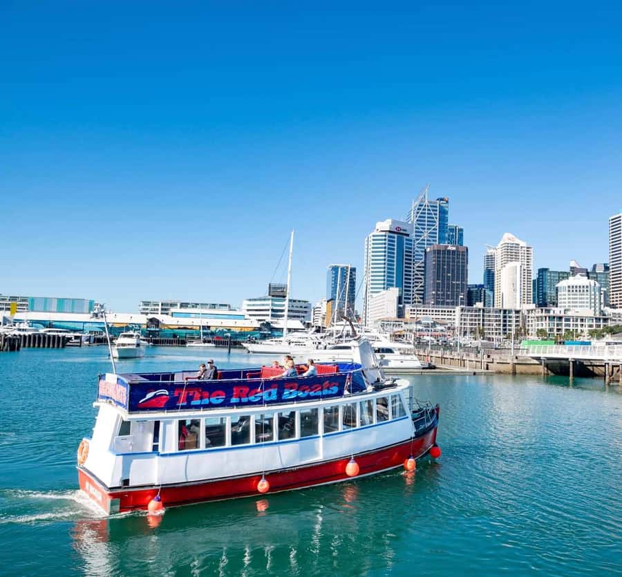 Auckland: Scenic Wine and Cheese Harbour Cruise - Who will enjoy this cruise most?