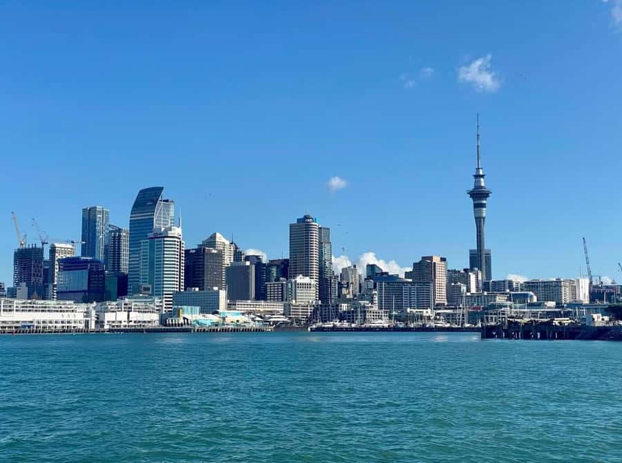 Auckland: Scenic Wine and Cheese Harbour Cruise - Timing, booking, and practical details