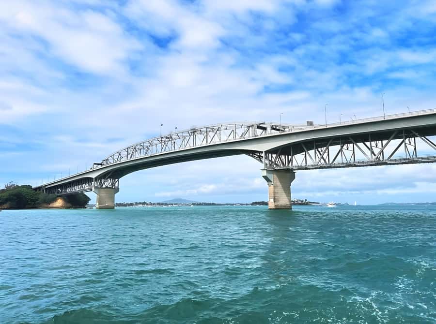 Auckland: Scenic Wine and Cheese Harbour Cruise - A 90-minute view of Auckland Harbour