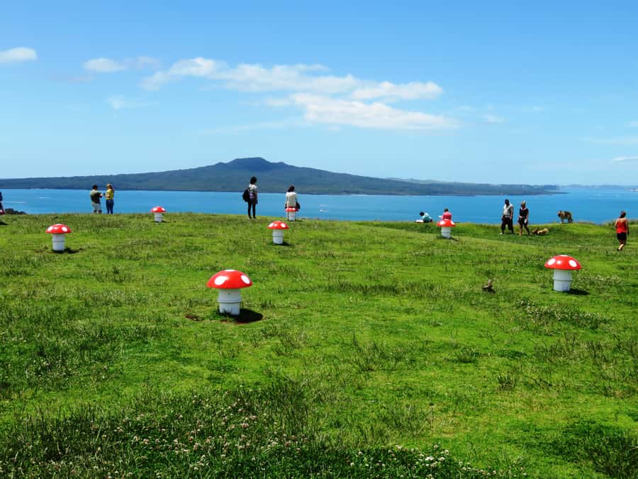 Auckland: Segway Tour to Mount Victoria - Learning to ride before the real tour begins