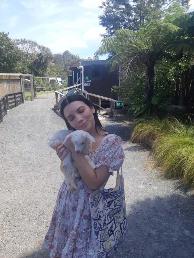 Auckland: Sheepworld, Honey Centre, & Kauri Trail Tour - Key points to know before booking