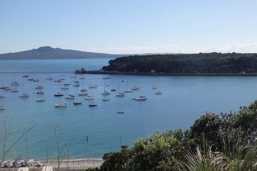 Auckland: Ship to Shore Full-Day Excursion - Starting along Tamaki Drive
