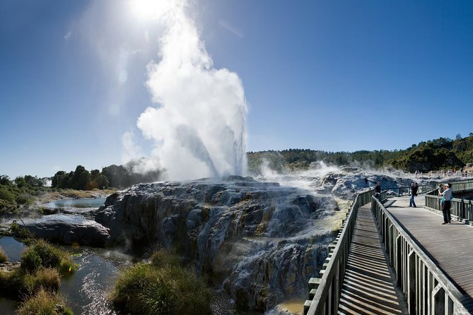 Auckland Sights Exclusive 8 Hour Luxury Day Tour - Muriwai Beach brings the black sand