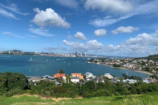 Auckland Sightseeing Half Day Tour - A Brief Walk Beside 1,800 Boats