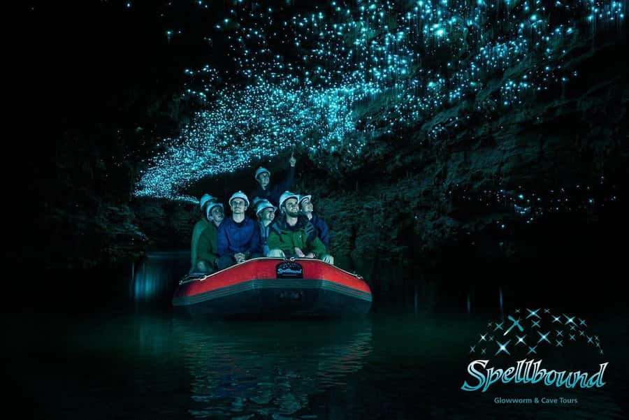 Auckland: Spellbound Glowworm Caves Explorer Tour - Why the Spellbound Caves make a strong day trip
