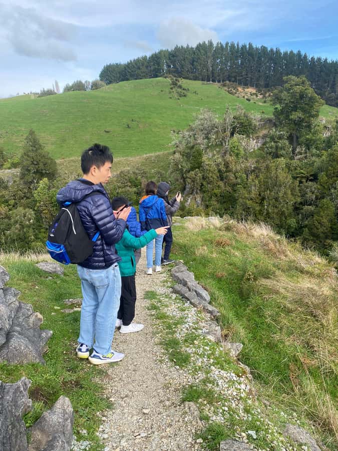 Auckland: Spellbound Glowworm Caves Explorer Tour - Who will enjoy this tour most?