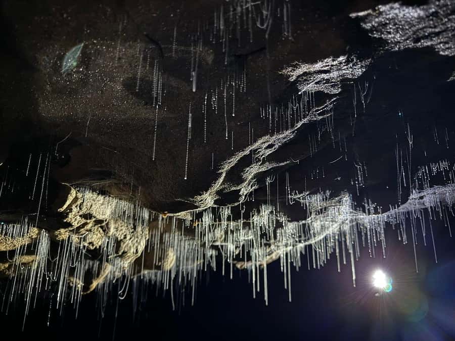 Auckland: Spellbound Glowworm Caves Explorer Tour - The 2-hour-45-minute drive from Auckland
