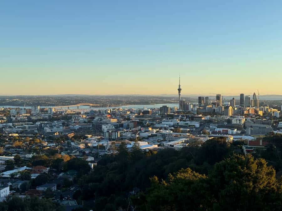 Auckland Sunrise Tour: Mount Eden Summit & Morning Views - Who will enjoy this early morning outing?