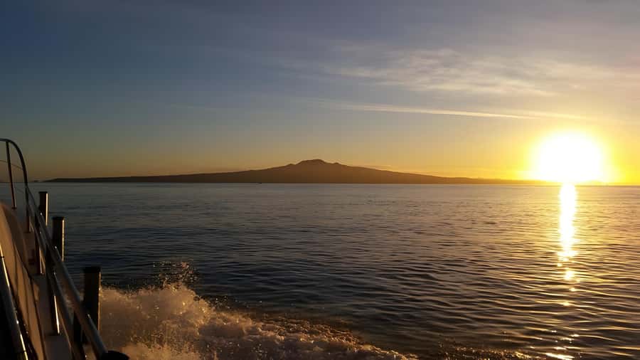 Auckland Sunset Harbour Cruise - Key points to know before you sail