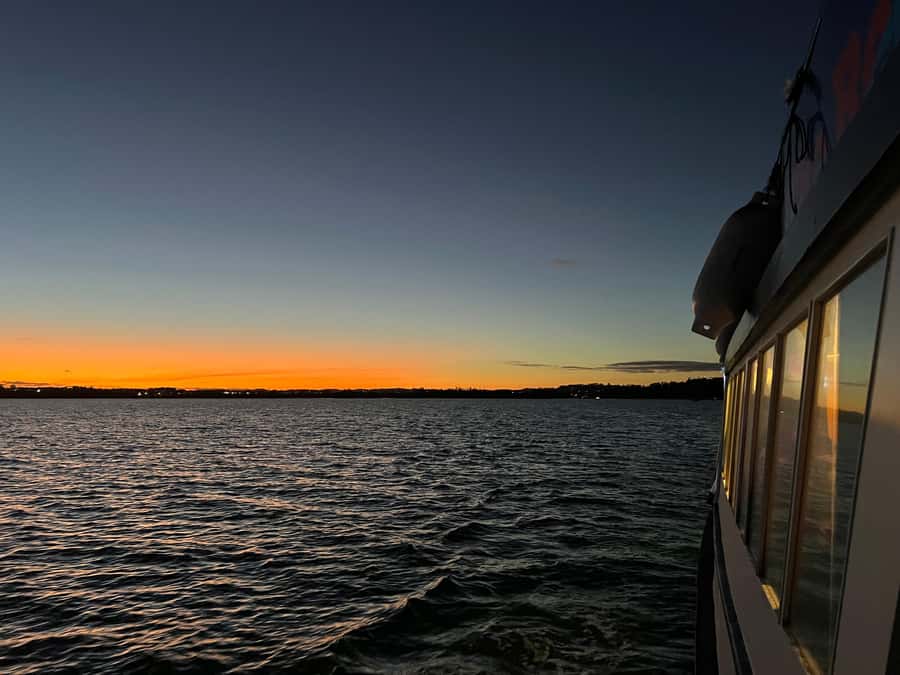 Auckland Sunset Harbour Cruise - Is $22 good value for 90 minutes?