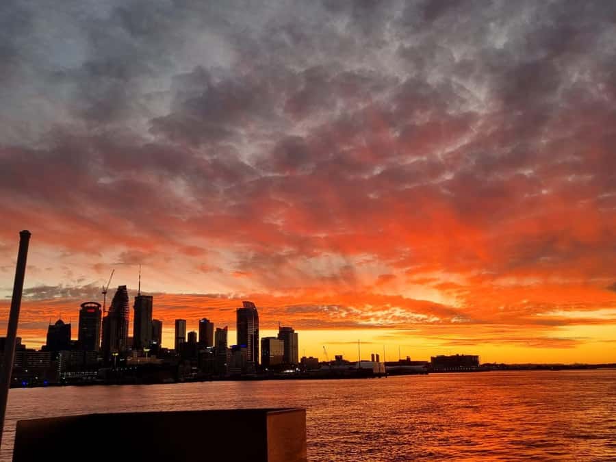 Auckland Sunset Harbour Cruise - The first views across Waitematā Harbour