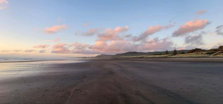 Auckland: Sunset Tour with Thermal pool & Wine Tasting - Dinner and wine tasting at The Hunting Lodge